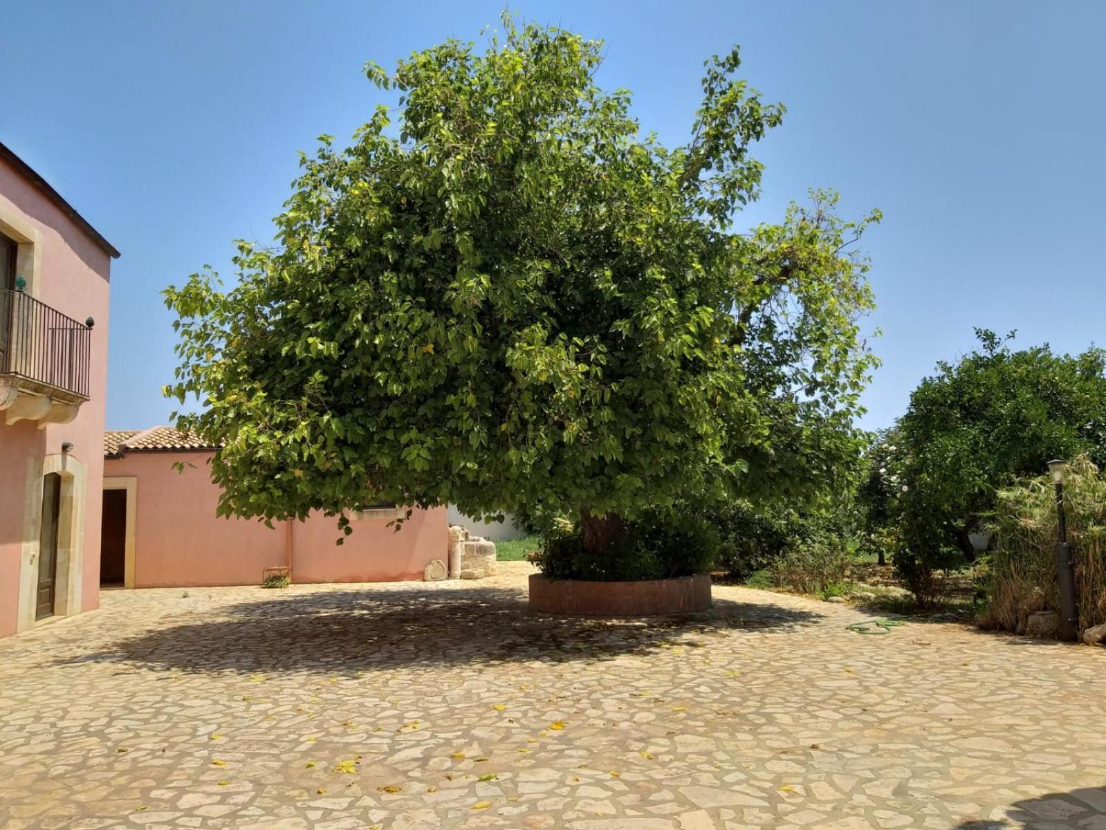Antica Gebbia Casa de hóspedes Syracuse Exterior foto